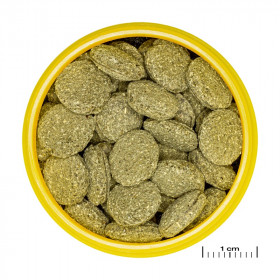 JBL PRONOVO PLECO WAFER M 250ml -Осн, храна таблетки за тревопасни сомове 1–20 см